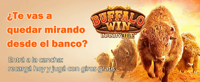 Plataforma Winss Bet